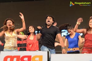 DSP Iddarammayilatho Audio Release