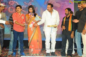 Pavithra Music Launch
