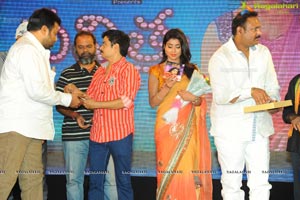 Pavithra Music Launch