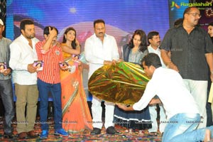 Pavithra Music Launch