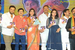 Pavithra Music Launch