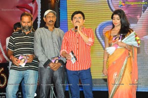 Pavithra Music Launch