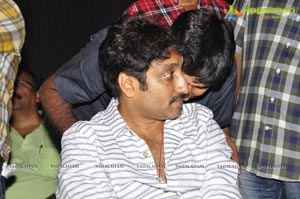 NTR Baadshah Success Meet