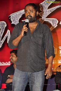 NTR Baadshah Success Meet