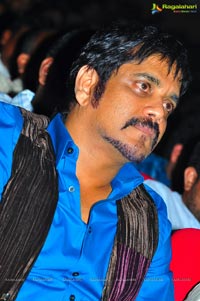 Nagarjuna Greekuveerudu Music Launch