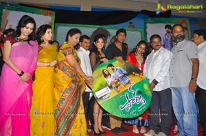 Park Audio Release