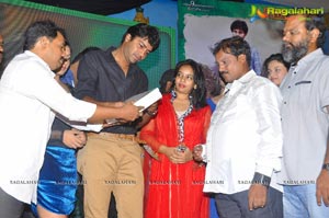 Park Audio Release