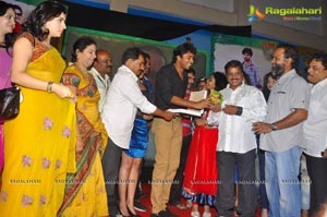 Park Audio Release