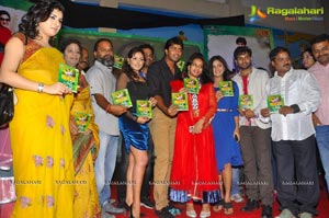 Park Audio Release