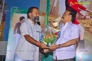 Park Audio Release