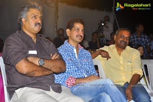 Park Audio Release