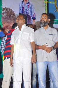 Park Audio Release