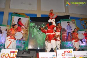 Park Audio Release