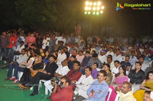 Park Audio Release