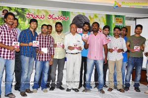 Sekhar Chandra Pelli Pustakam Audio Release