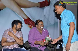 Prema Oka Maikam Audio Release