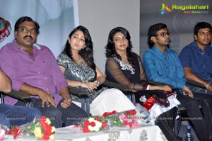 Prema Oka Maikam Audio Release