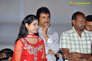 Prema Oka Maikam Audio Release