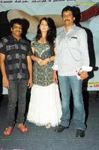 Prema Oka Maikam Audio Release