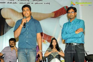 Prema Oka Maikam Audio Release