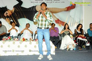 Prema Oka Maikam Audio Release