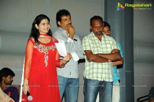 Prema Oka Maikam Audio Release