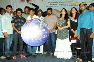 Prema Oka Maikam Audio Release