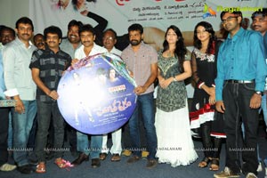 Prema Oka Maikam Audio Release