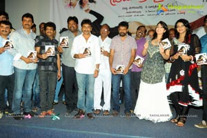 Prema Oka Maikam Audio Release