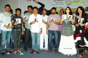 Prema Oka Maikam Audio Release