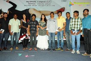 Prema Oka Maikam Audio Release