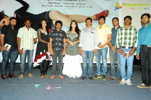 Prema Oka Maikam Audio Release