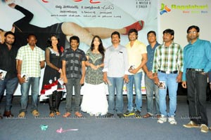 Prema Oka Maikam Audio Release