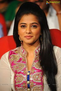 Akhil Priyamani Sushanth at Greeku Veerudu Audio