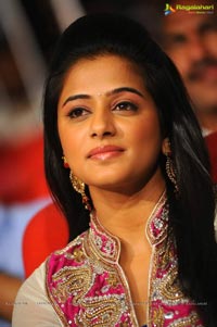 Akhil Priyamani Sushanth at Greeku Veerudu Audio