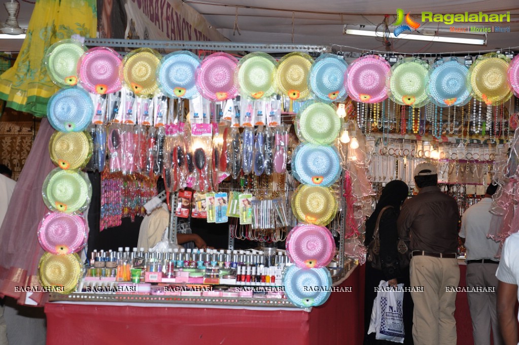 Maha Utsav Mela 2013, Hyderabad