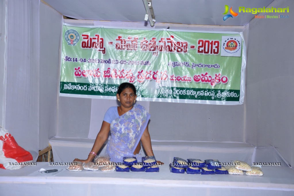 Maha Utsav Mela 2013, Hyderabad