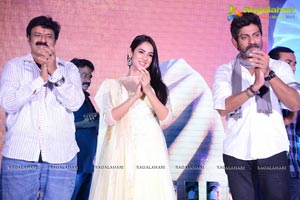 Legend Success Meet