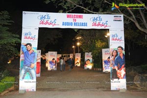 Pyar Me Padipoyane Audio Release