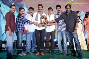 Legend Success Meet