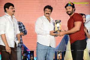 Legend Success Meet