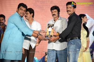 Legend Success Meet