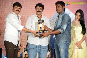 Legend Success Meet