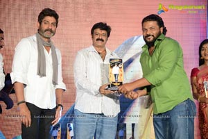 Legend Success Meet