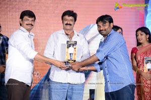 Legend Success Meet