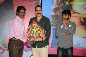 Pyar Me Padipoyane Audio Release