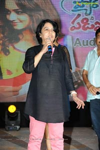 Pyar Me Padipoyane Audio Release