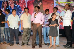 Pyar Me Padipoyane Audio Release