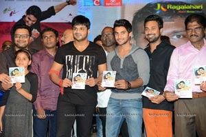 Pyar Me Padipoyane Audio Release