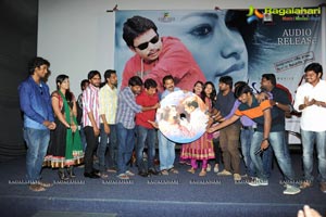 Aarya Chitra Audio Release